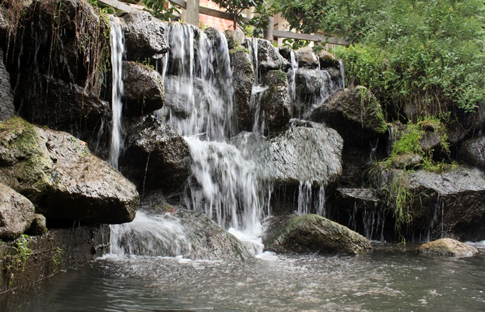 Maşukiye -Kartepe - Kocaeli